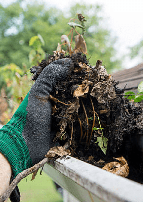 gutter-cleaning